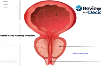 Anatomical diagram showing the bladder, prostate gland, and urethra in the male urinary system.