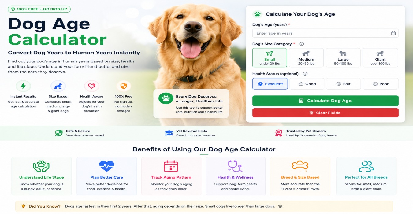 Dog Age Calculator – Convert Dog Years to Human Years 2026 Guide Dog Age Calculator – Convert Dog Years to Human Years 2026 Guide